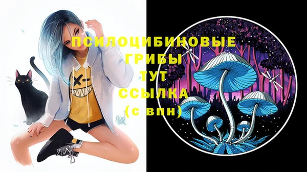 винт Алексеевка