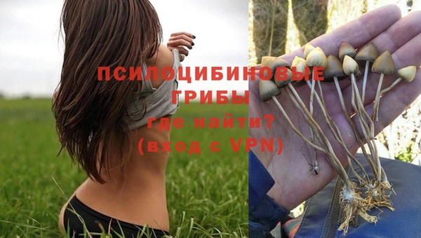 героин Алзамай