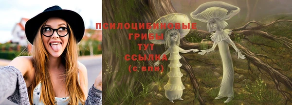 винт Алексеевка
