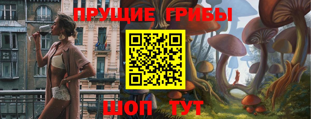 Галлюциногенные грибы GOLDEN TEACHER  купить   Вход с VPN  Ленинск-Кузнецкий  Псилоцибиновые грибы MAGIC MUSHROOMS 