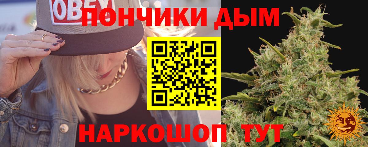 Каннабис индика  Марихуана VHQ  Бошки марихуана планчик  Вход с VPN  Ленинск-Кузнецкий 